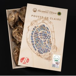 Huîtres Pousse en claires label rouge