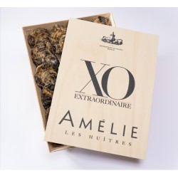 AMELIE - XO SUPER SPECIALE